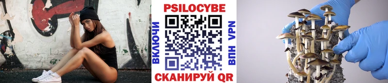 Галлюциногенные грибы Magic Shrooms  OMG ССЫЛКА  Бородино 